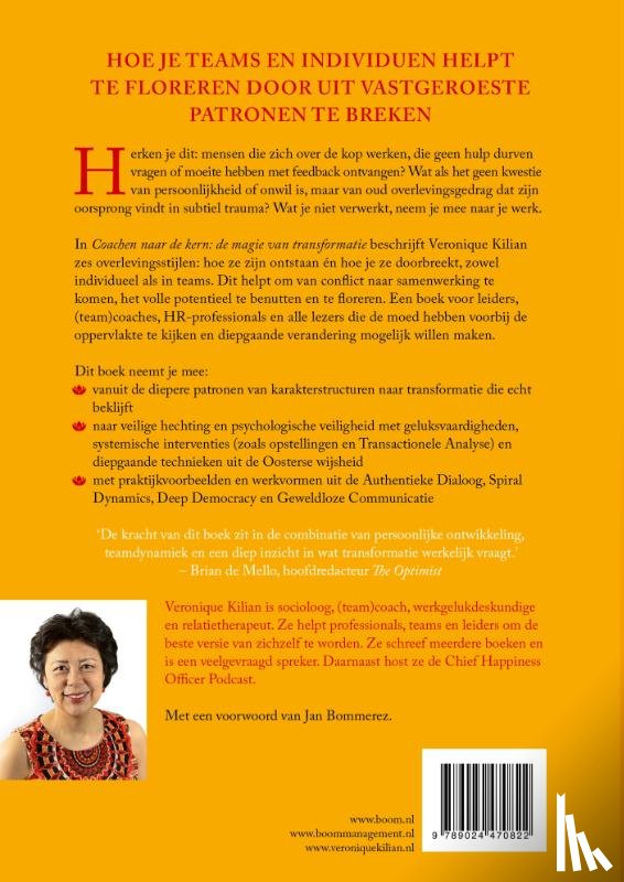 Kilian, Veronique - Coachen naar de kern