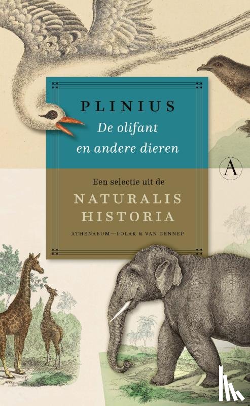 Plinius - De olifant en andere dieren