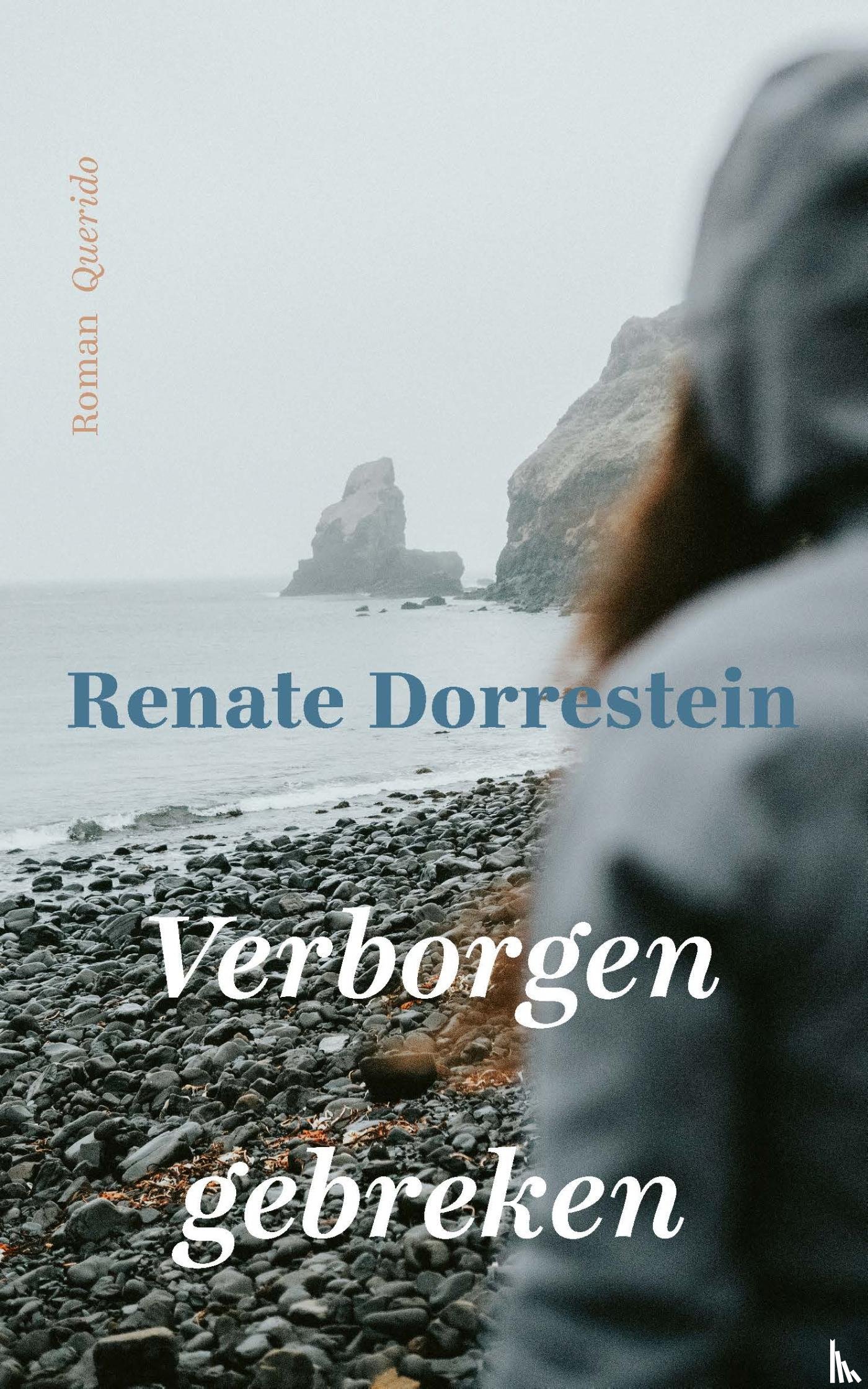 Dorrestein, Renate - Verborgen gebreken