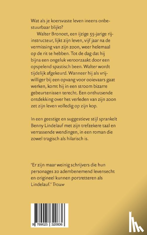 Lindelauf, Benny - Het licht tussen onze vingers