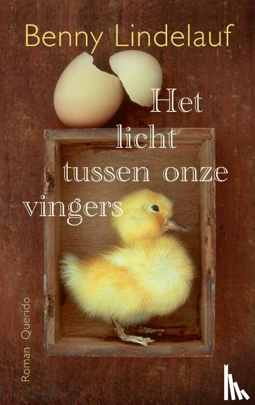 Lindelauf, Benny - Het licht tussen onze vingers