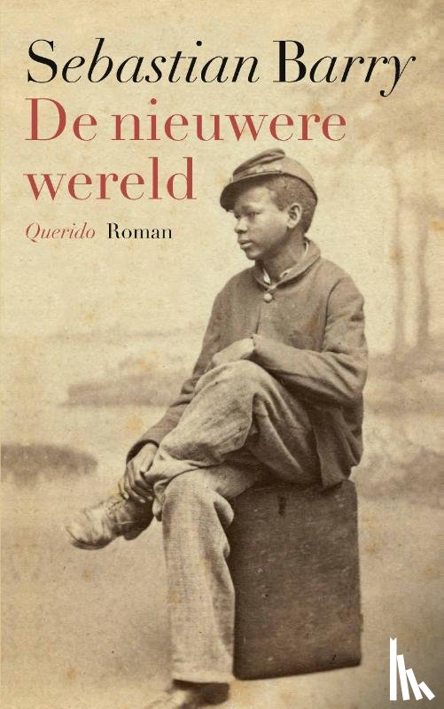 Barry, Sebastian - De nieuwere wereld