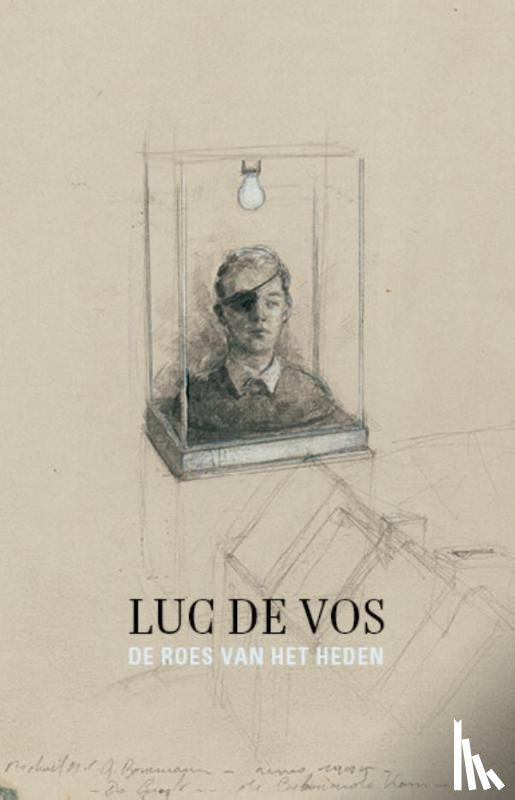 Vos, Luc De - De roes van het heden