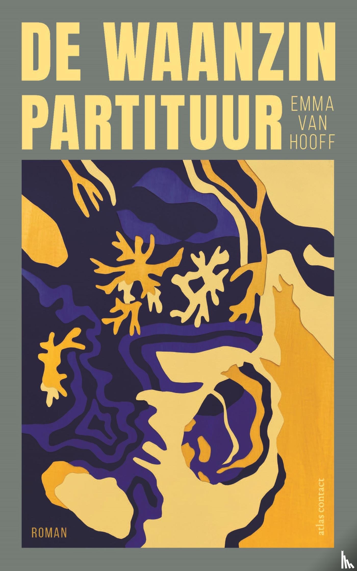 Hooff, Emma van - De waanzinpartituur