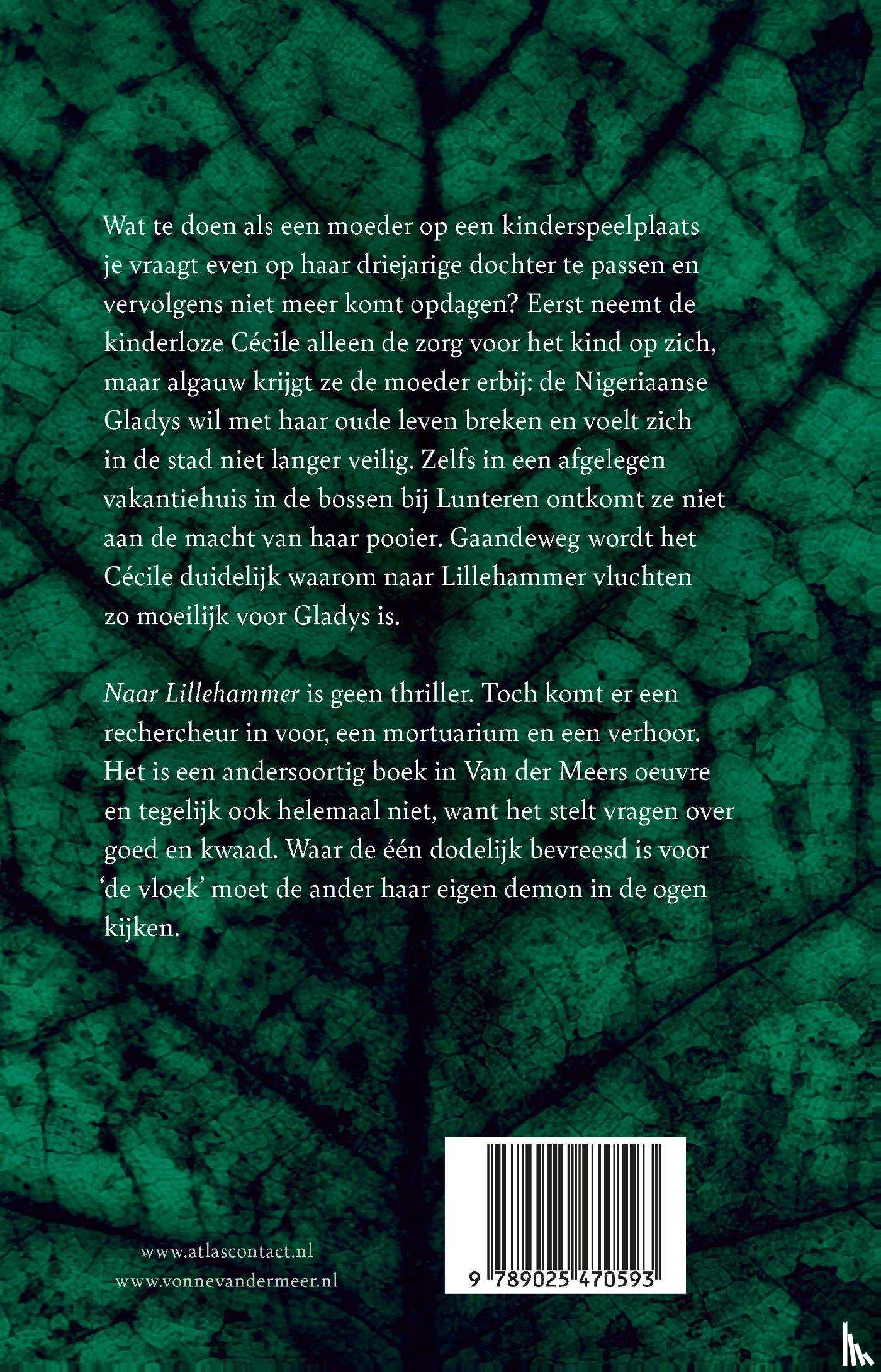 Meer, Vonne van der - Naar Lillehammer