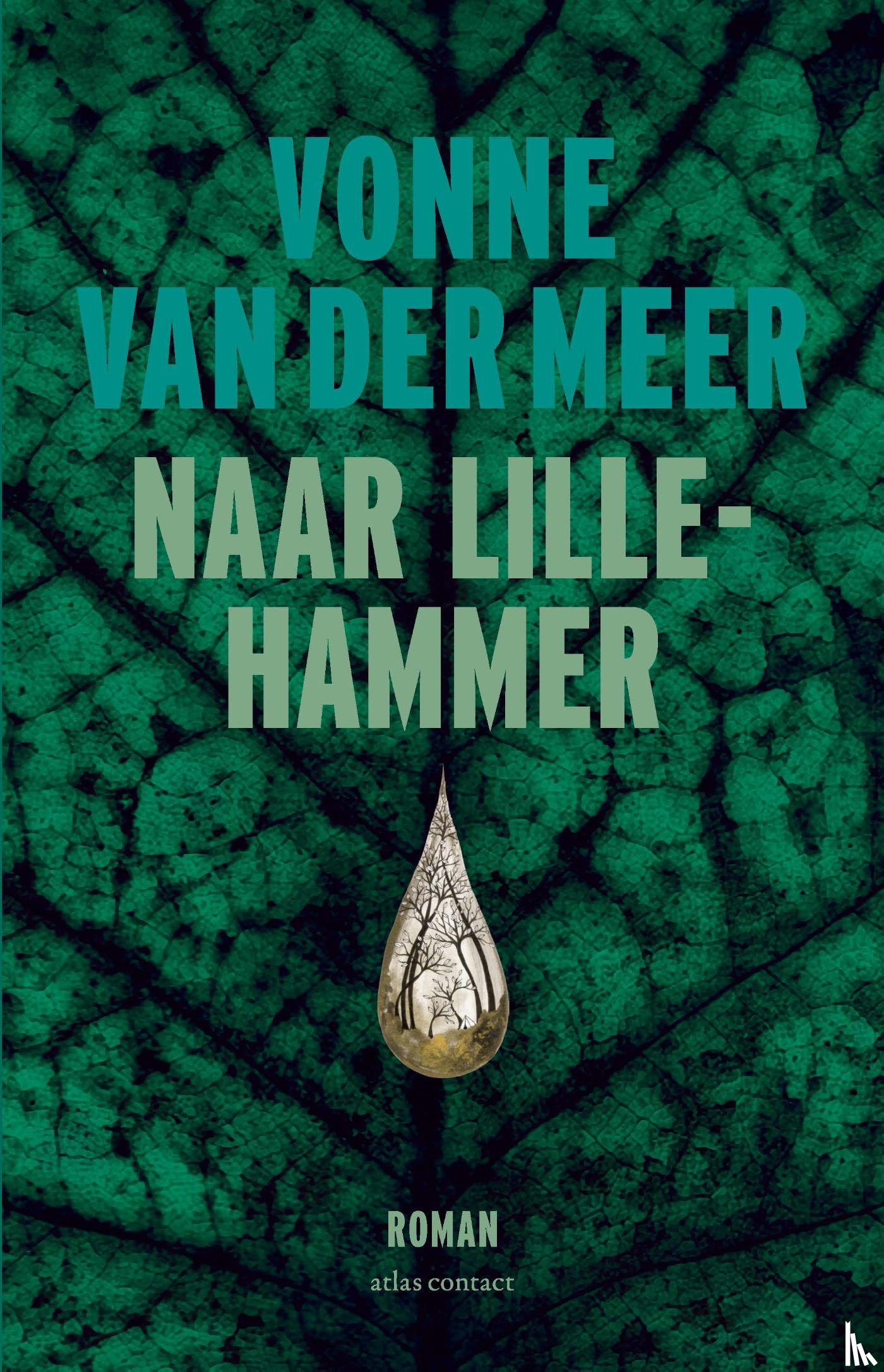 Meer, Vonne van der - Naar Lillehammer