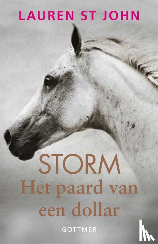 St John, Lauren - Het paard van een dollar