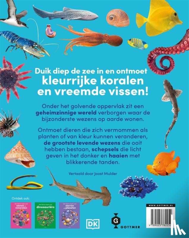 Gray, Samantha - Het kleine boek over de oceaan