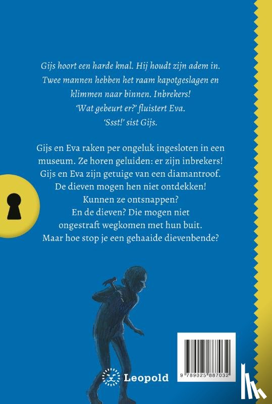 Gaag, Marjolein van der - Het geheim van de duistere diamantroof