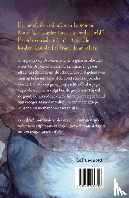 Rood, Lydia - Paniek op Drakeneiland