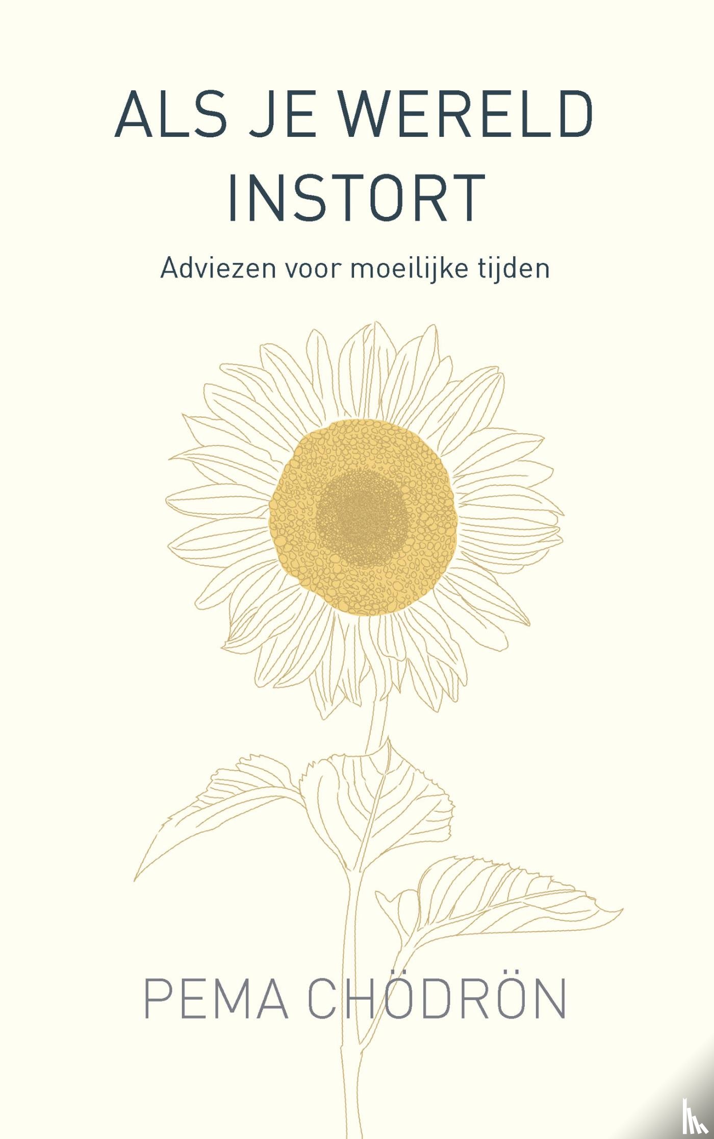 Chödrön, Pema - Als je wereld instort