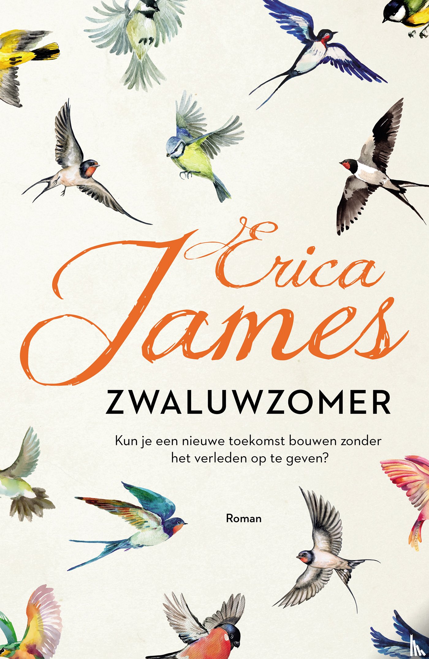 James, Erica - Zwaluwzomer