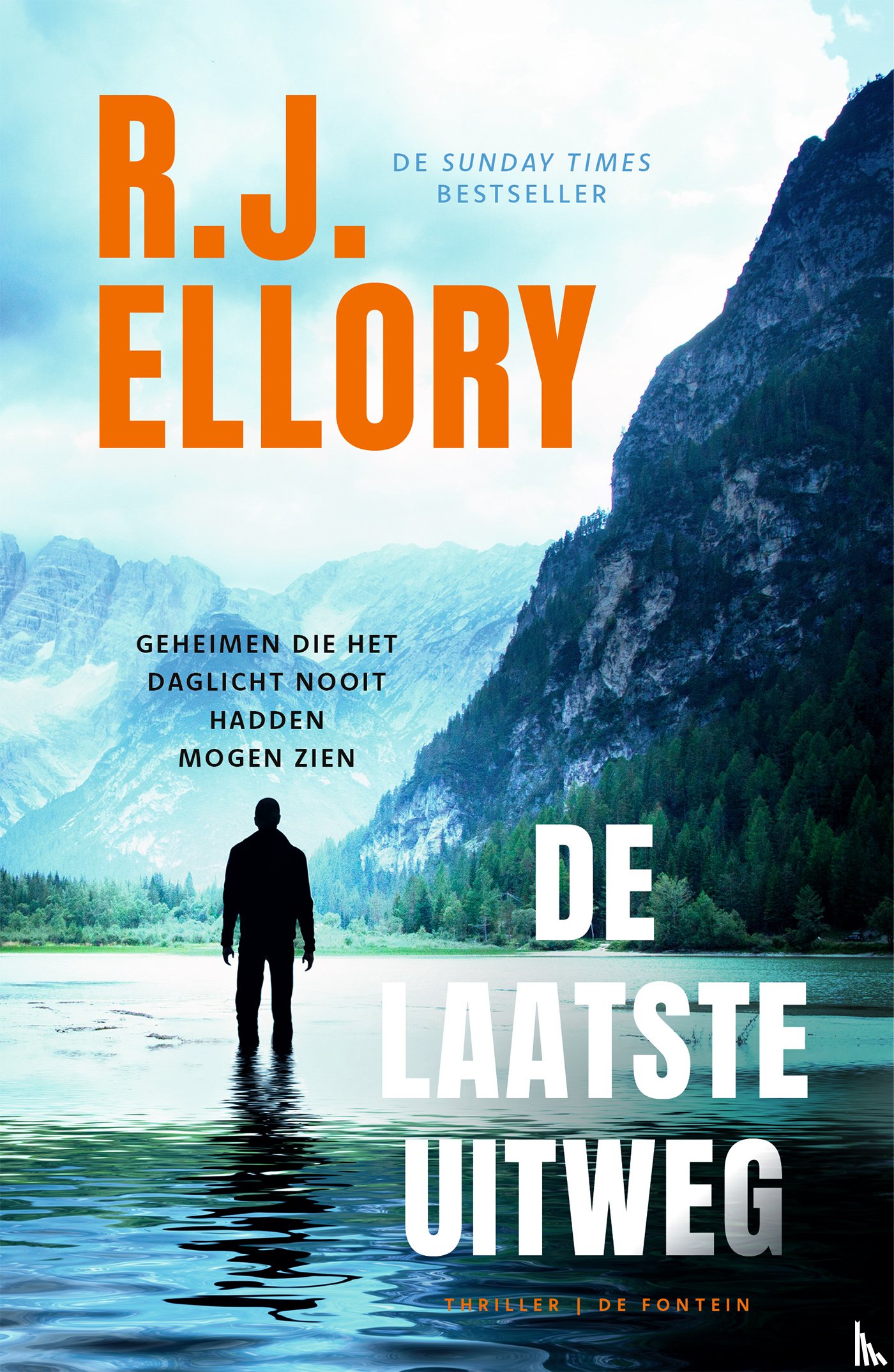 Ellory, R.J. - De laatste uitweg