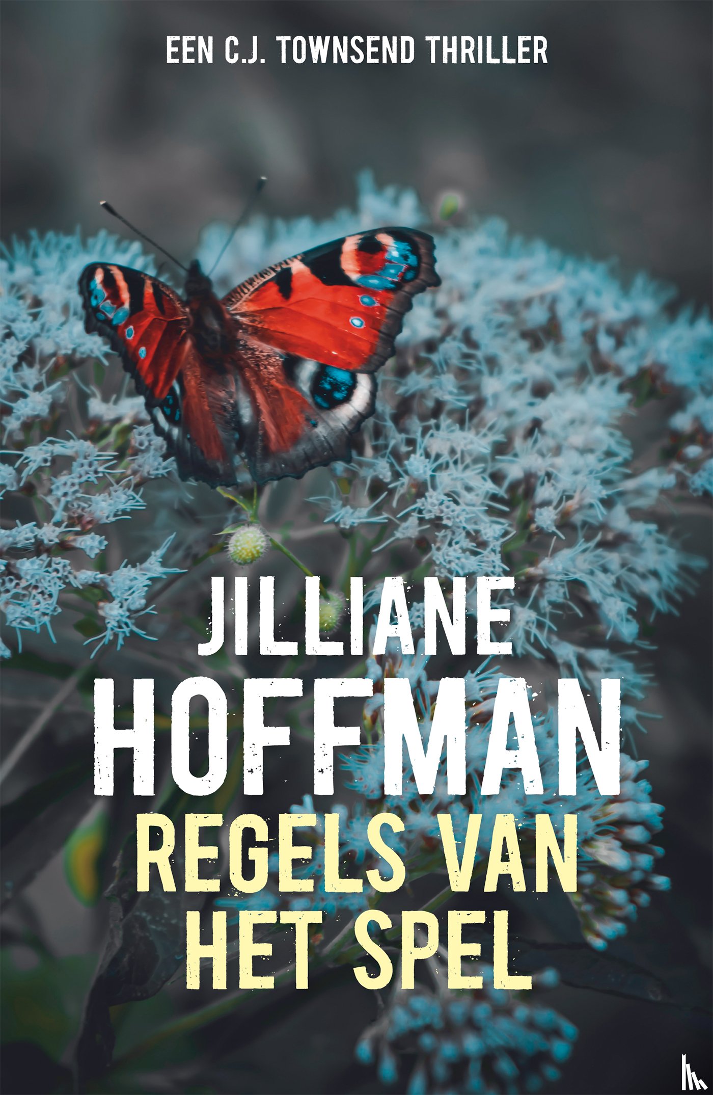 Hoffman, Jilliane - Regels van het spel
