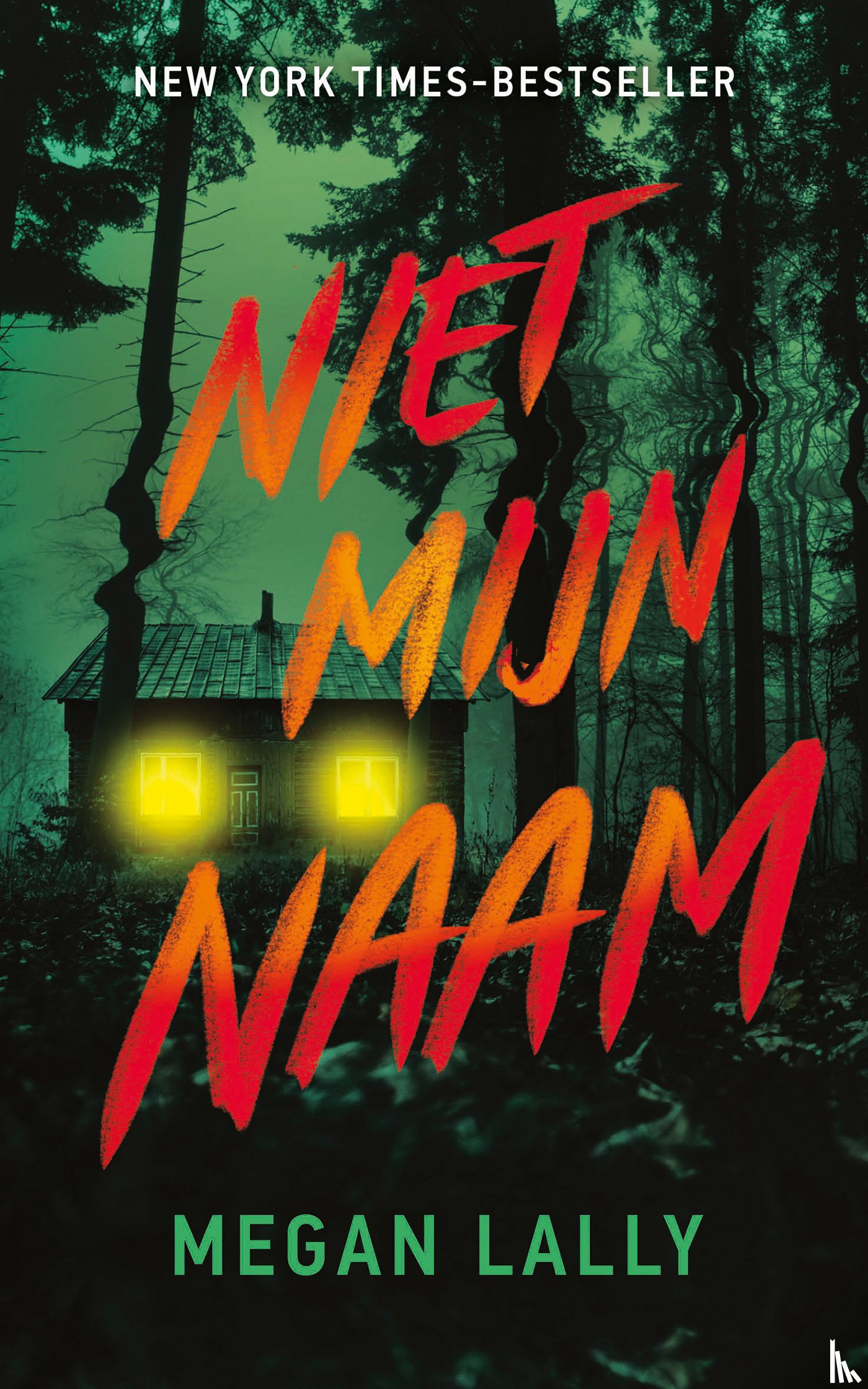 Lally, Megan - Niet mijn naam