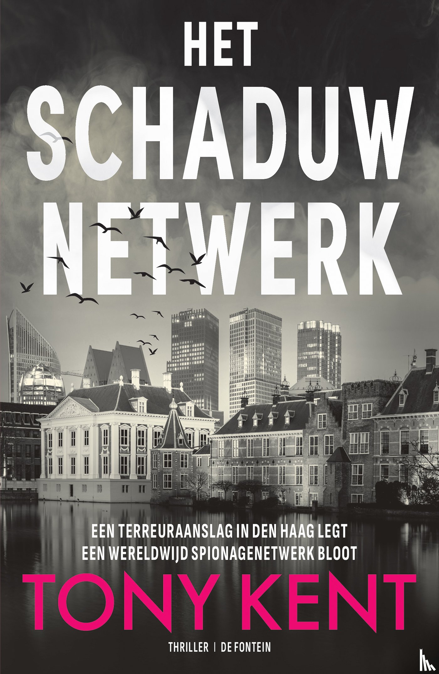Kent, Tony - Het schaduwnetwerk