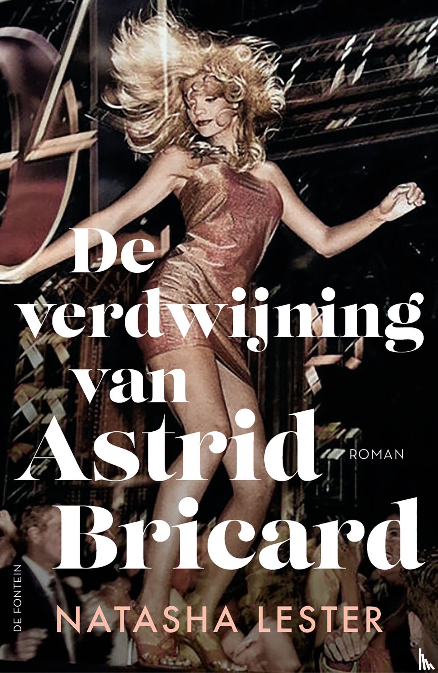 Lester, Natasha - De verdwijning van Astrid Bricard