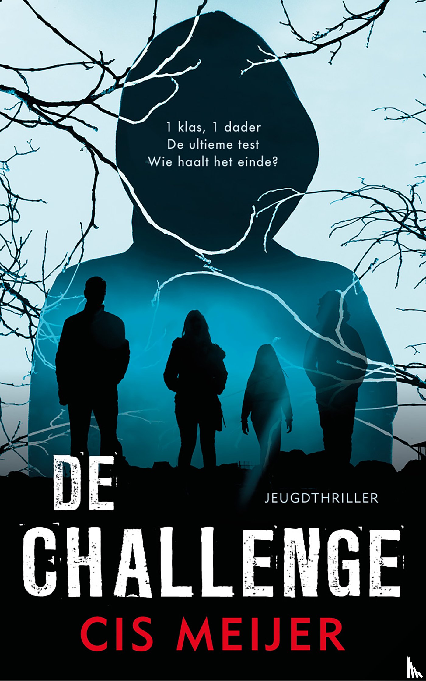 Meijer, Cis - De challenge