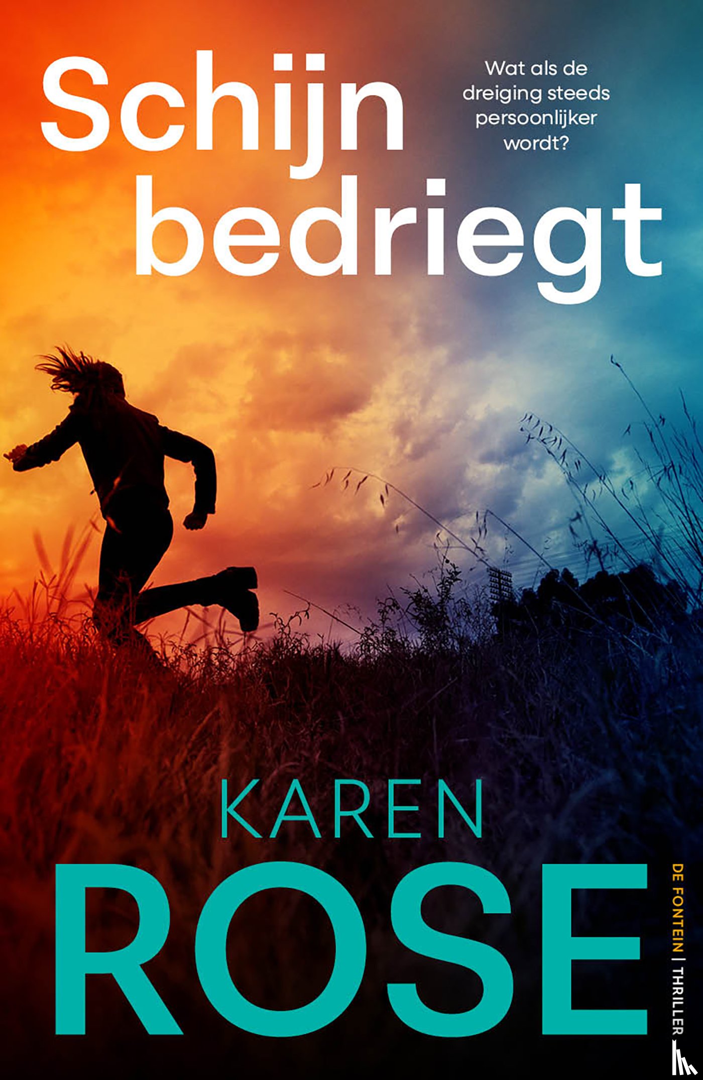 Rose, Karen - Schijn bedriegt
