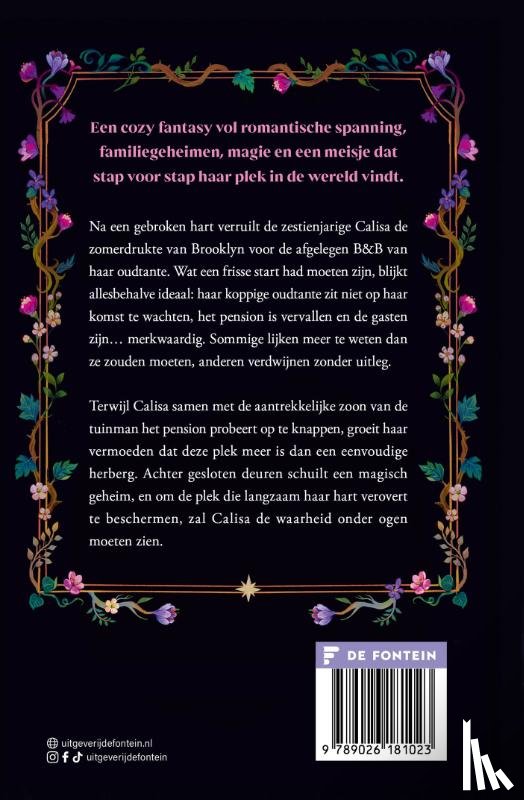 Durst, Sarah Beth - The Faraway Inn