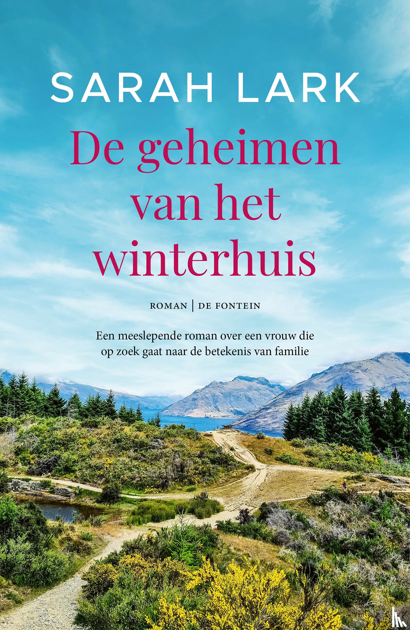 Lark, Sarah - De geheimen van het winterhuis