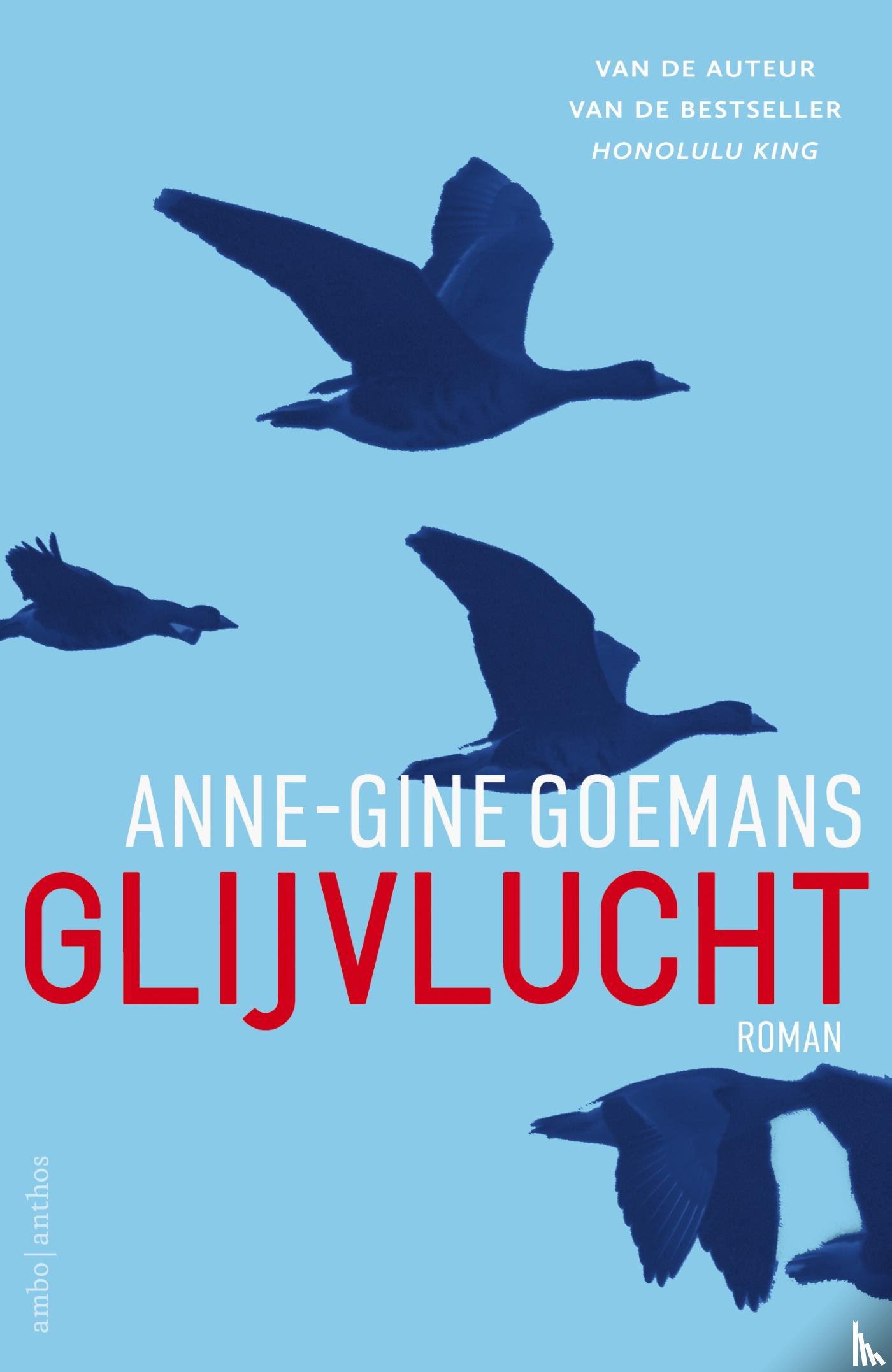Goemans, Anne-Gine - Glijvlucht