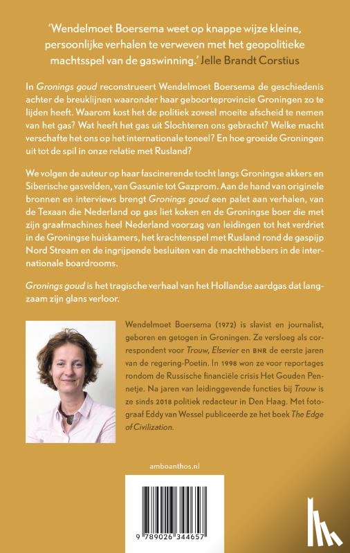 Boersema, Wendelmoet - Gronings goud