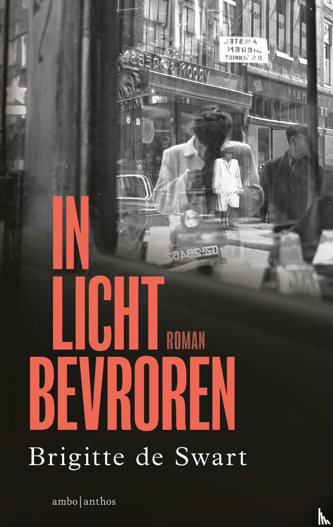 Swart, Brigitte de - In licht bevroren