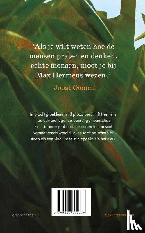 Hermens, Max - Het verdwijnen van Ferdi Heijen