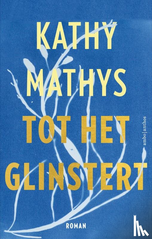 Mathys, Kathy - Tot het glinstert