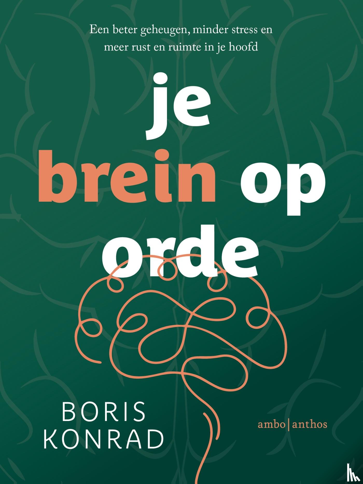 Konrad, Boris Nikolai - Je brein op orde