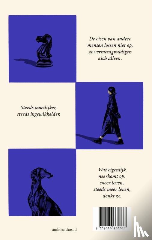 Rooney, Sally - Intermezzo