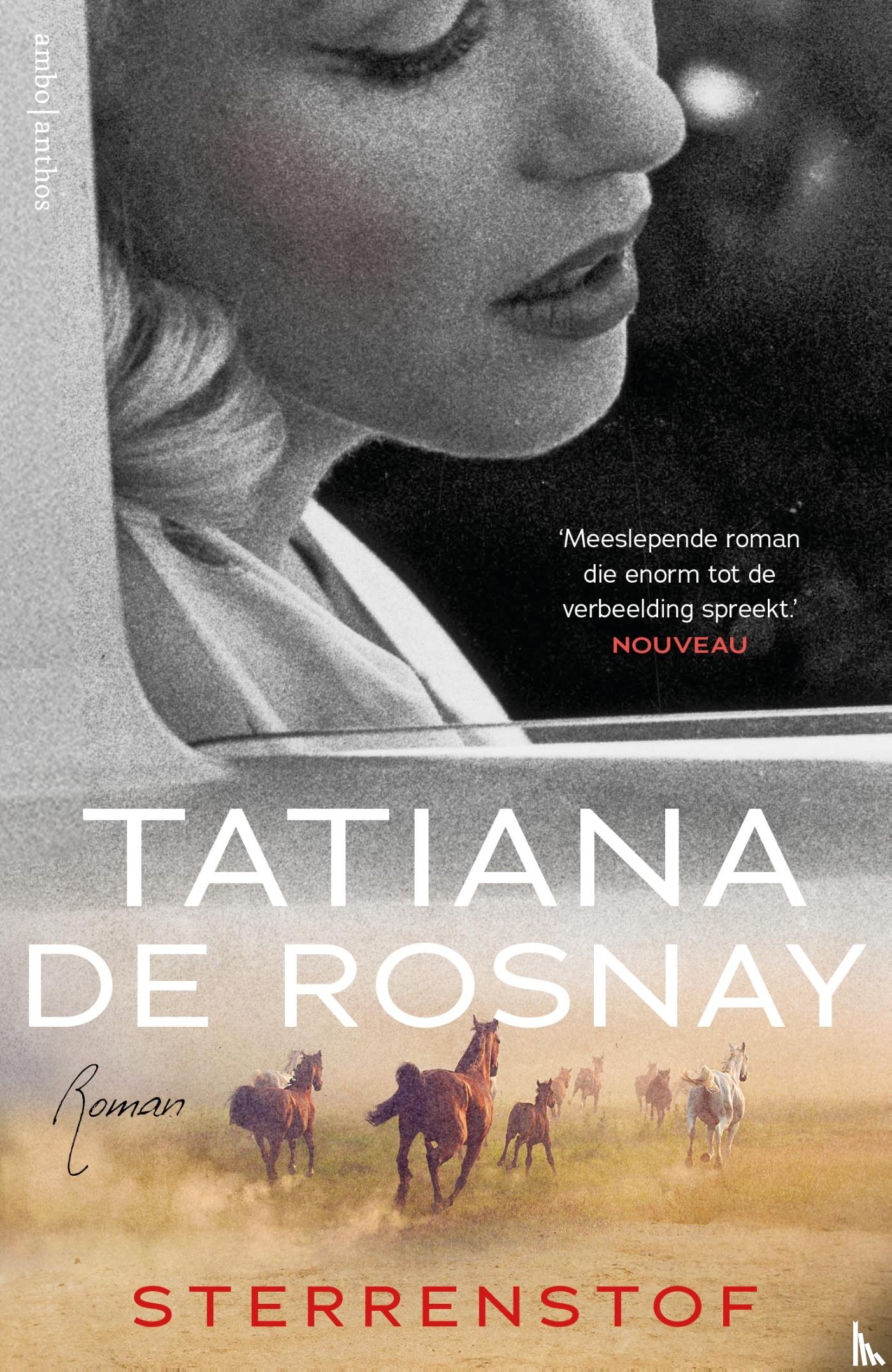Rosnay, Tatiana de - Sterrenstof