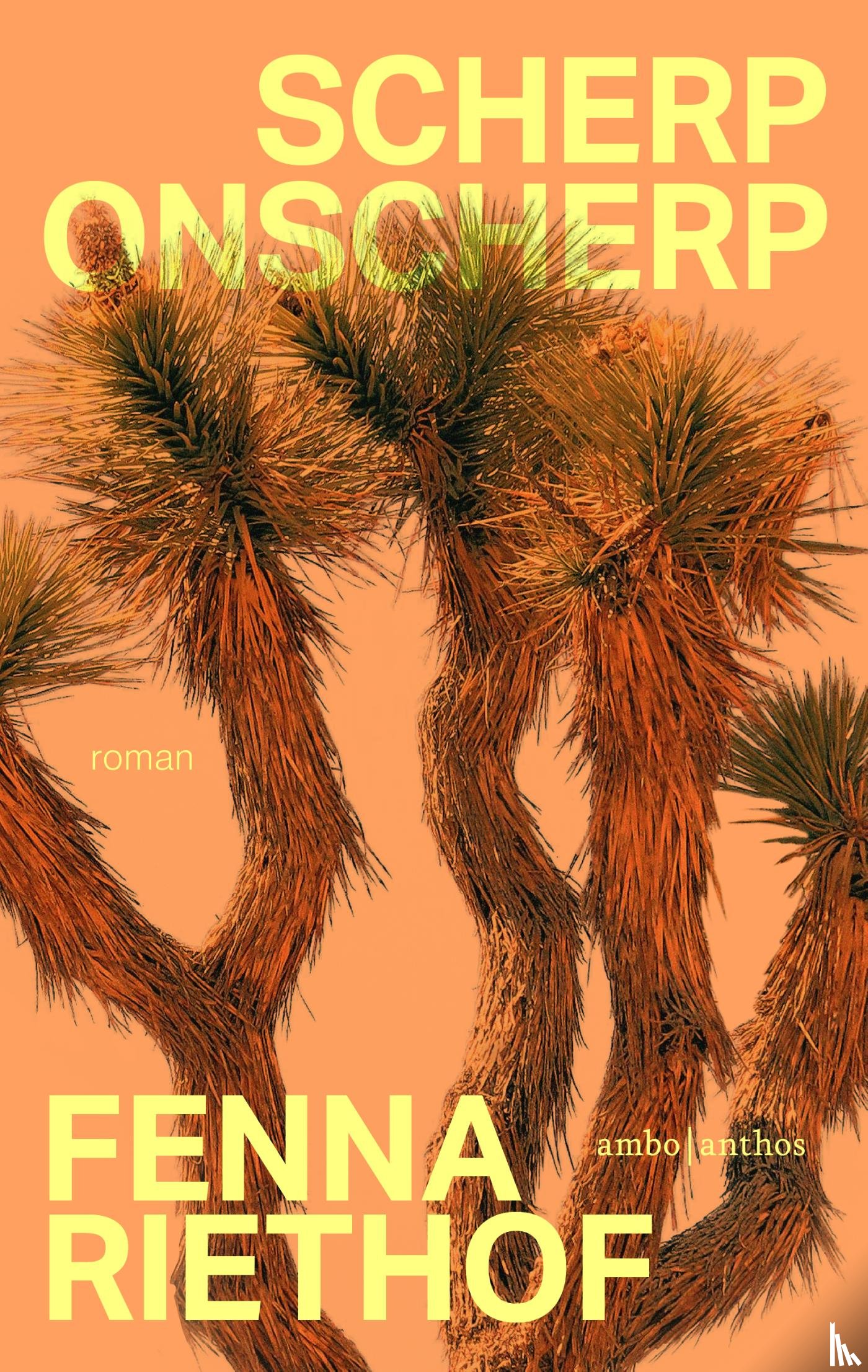 Riethof, Fenna - Scherp onscherp