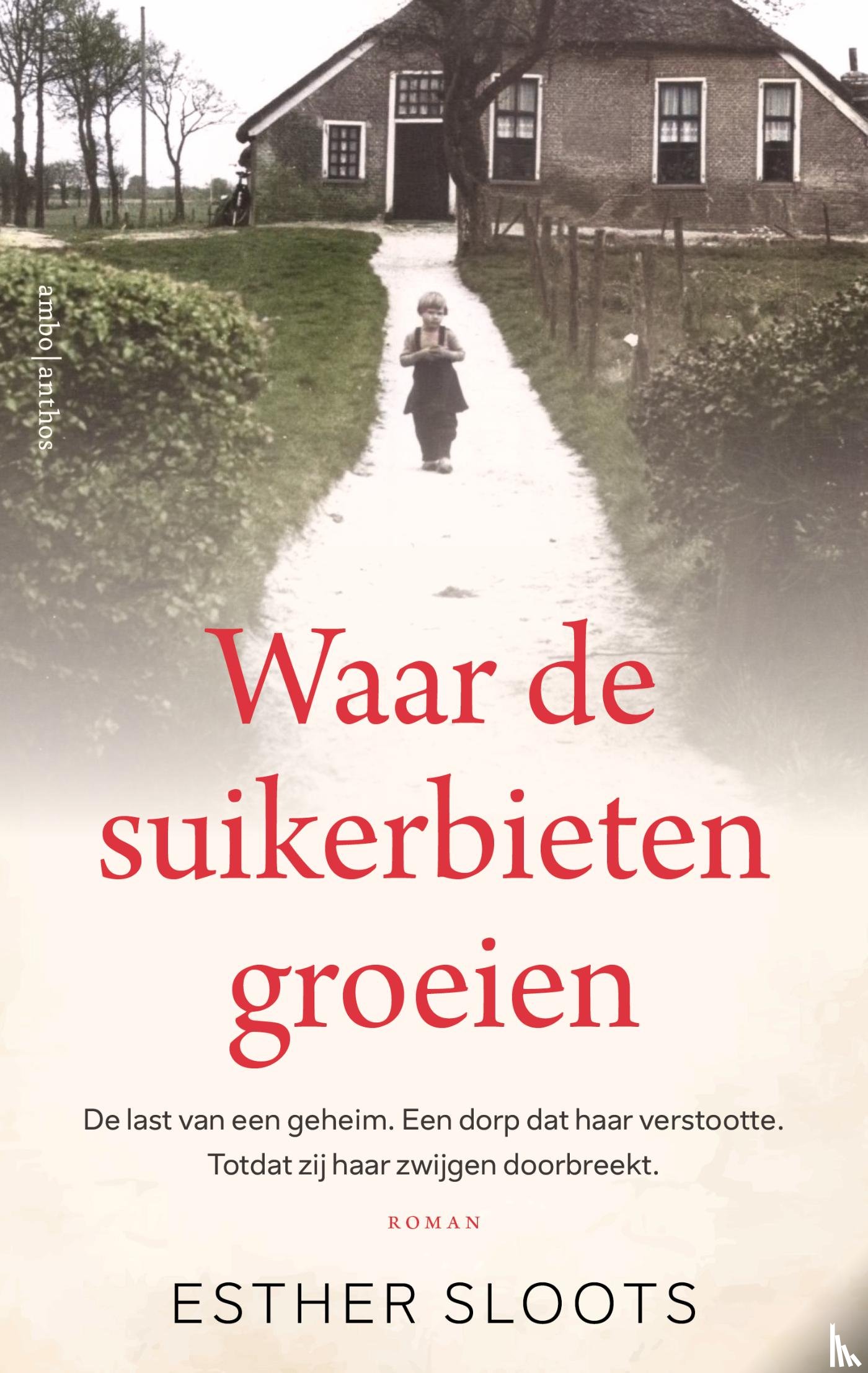 Sloots, Esther - Waar de suikerbieten groeien