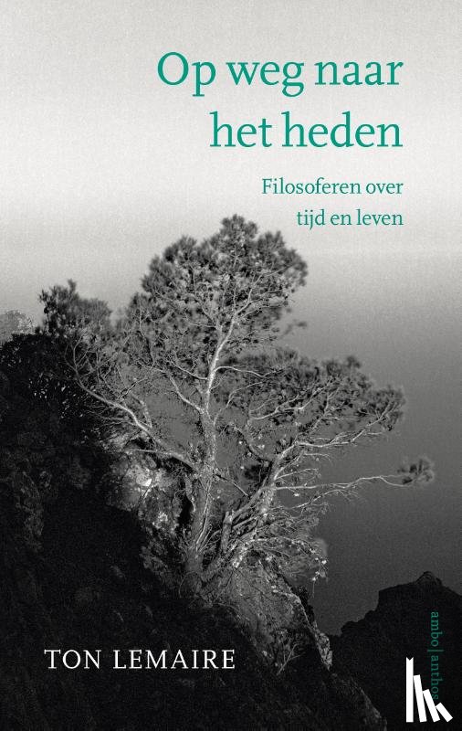Lemaire, Ton - Op weg naar het heden