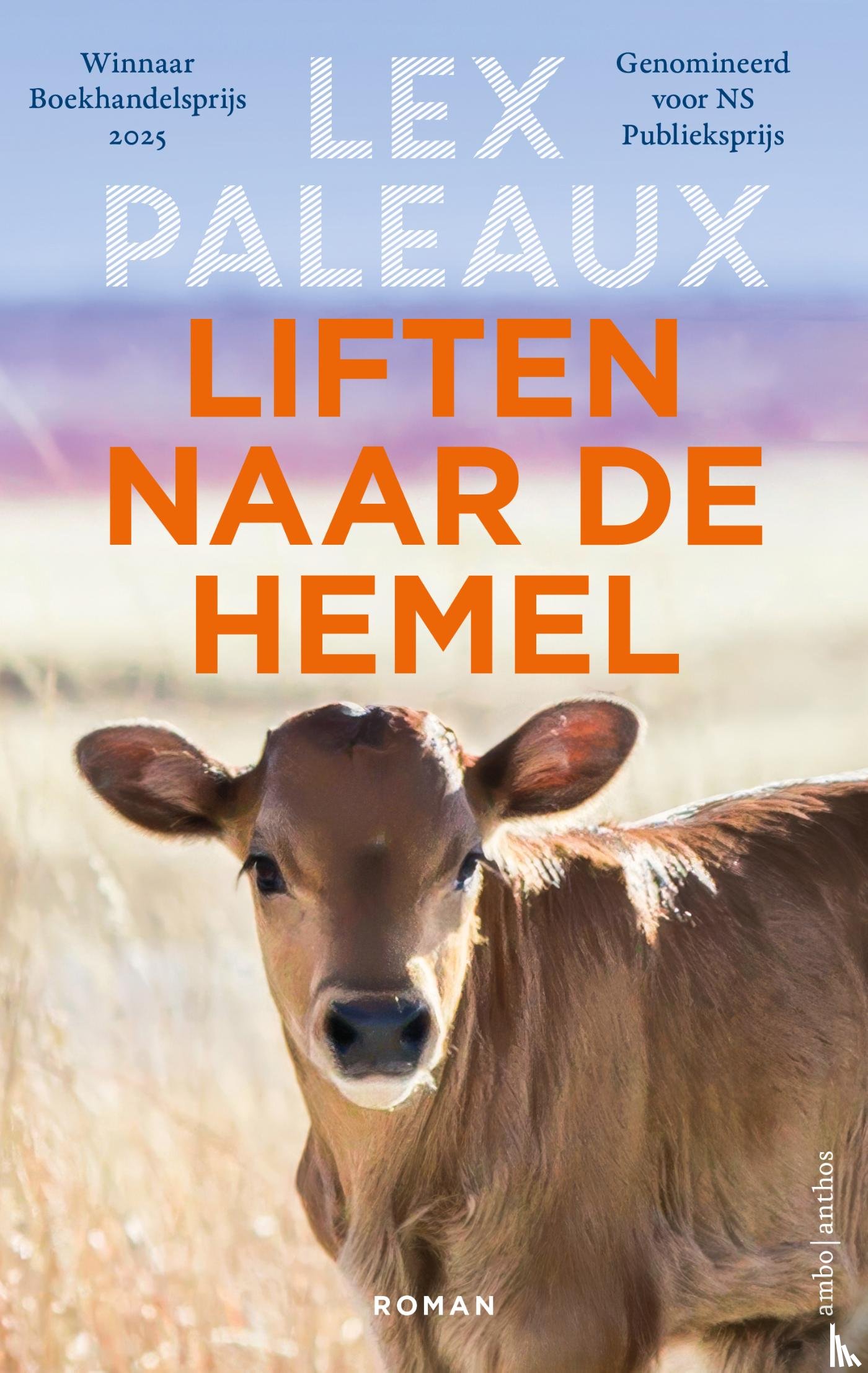 Paleaux, Lex - Liften naar de hemel