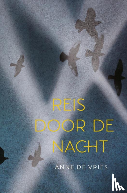 Vries, Anne de - Reis door de nacht