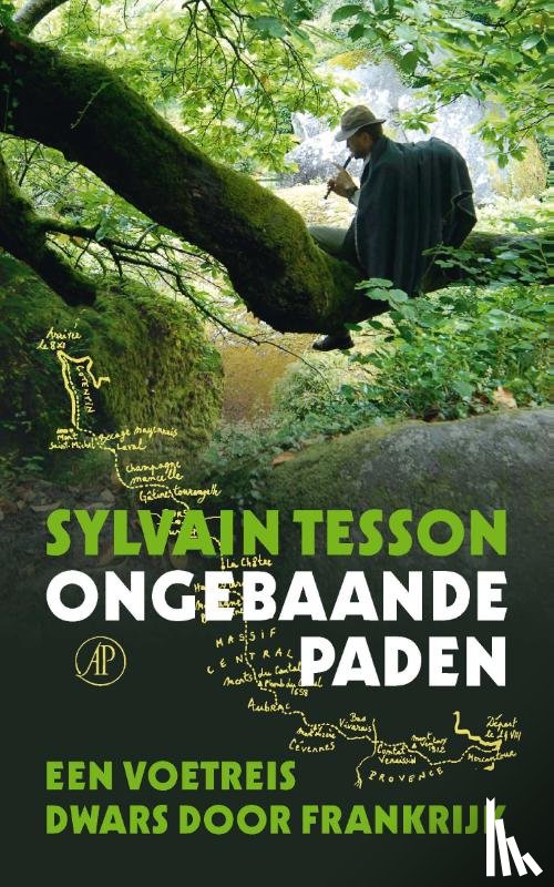 Tesson, Sylvain - Ongebaande paden