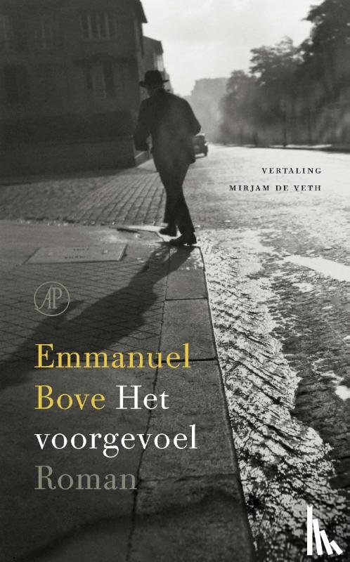 Bove, Emmanuel - Het voorgevoel