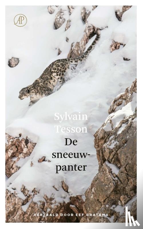 Tesson, Sylvain - De sneeuwpanter