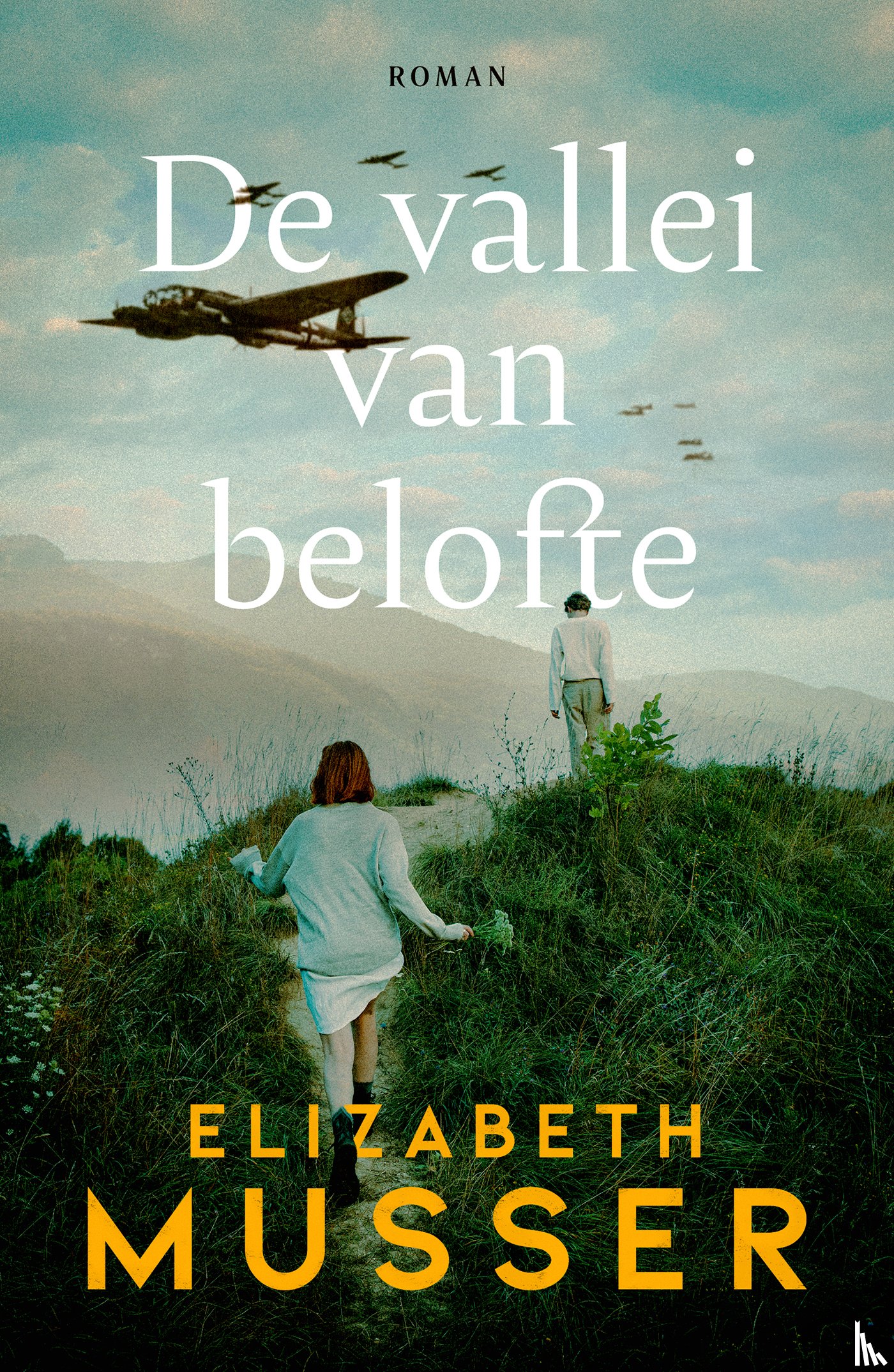 Musser, Elizabeth - De vallei van belofte