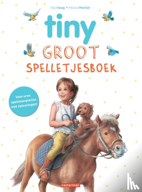  - Groot spelletjesboek