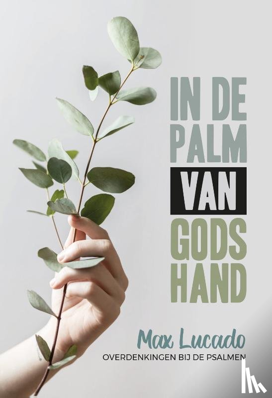 Lucado, Max - In de palm van Gods hand