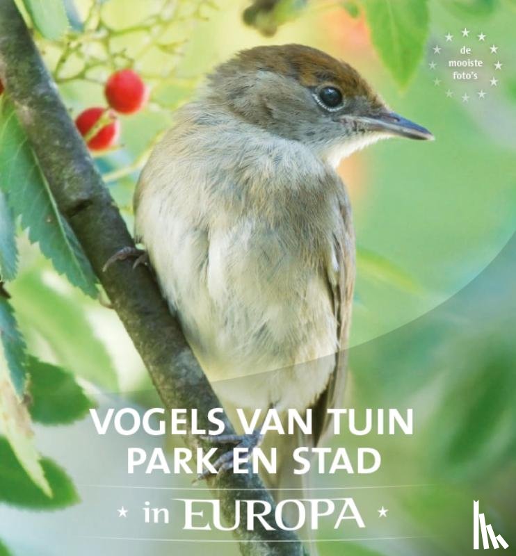 Schelvis, Jaap, Hoeve, Arno ten - Vogels van tuin, park en stad in Europa