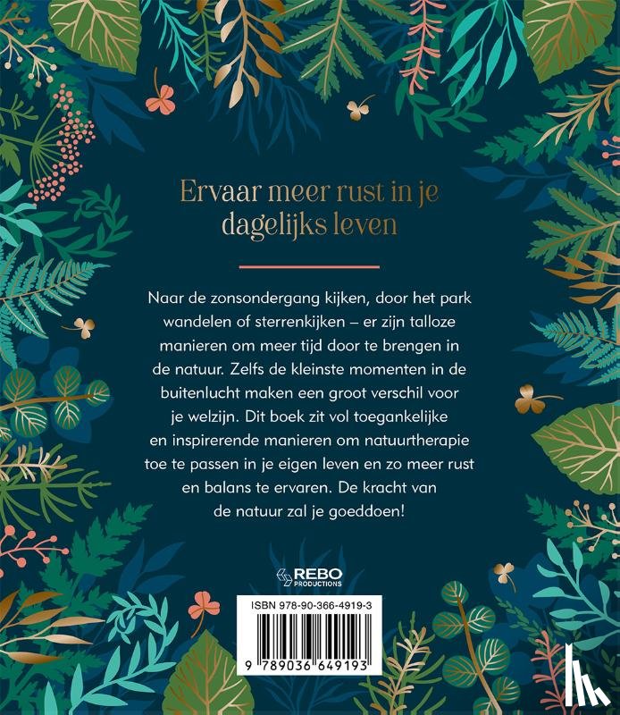 Dambron, Rémy - Vind rust in je hoofd