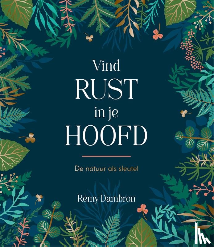 Dambron, Rémy - Vind rust in je hoofd