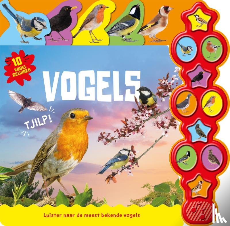 B.V., Rebo Productions - Vogels - 10-geluidenboek