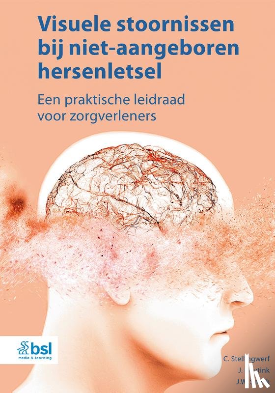 Stellingwerf, C., Heutink, J., Snoek, J.W. - Visuele stoornissen bij niet-aangeboren hersenletsel