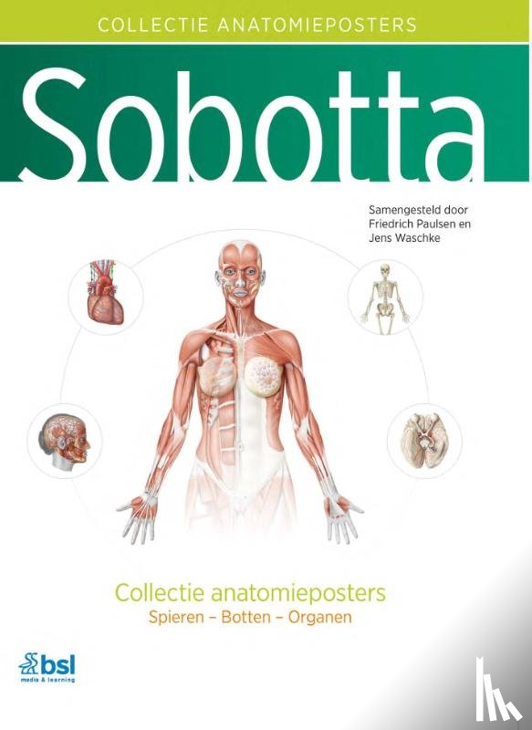  - Sobotta - Collectie anatomieposters